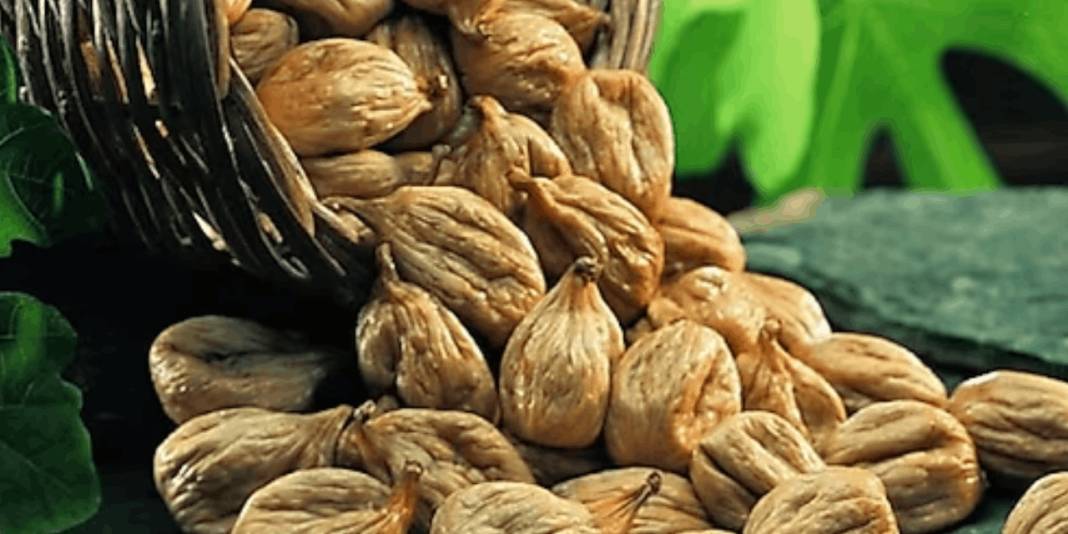 Pizza kutusundan asma yaprağına: İşte Avrupa’dan iade edilen Türk ürünleri 3